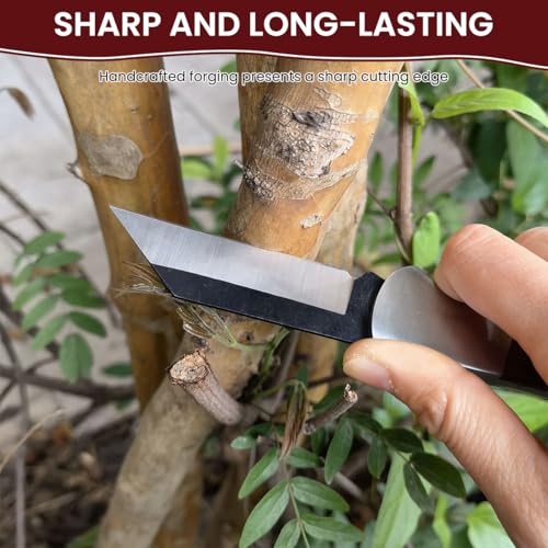 HASTHIP® Grafting Cutter Folding Stainless Steel Grafting Cutter Anti-slip Wooden Handle Design Pocket Gardening Grafting Cutter Portable Gardening Cutter - Image 5