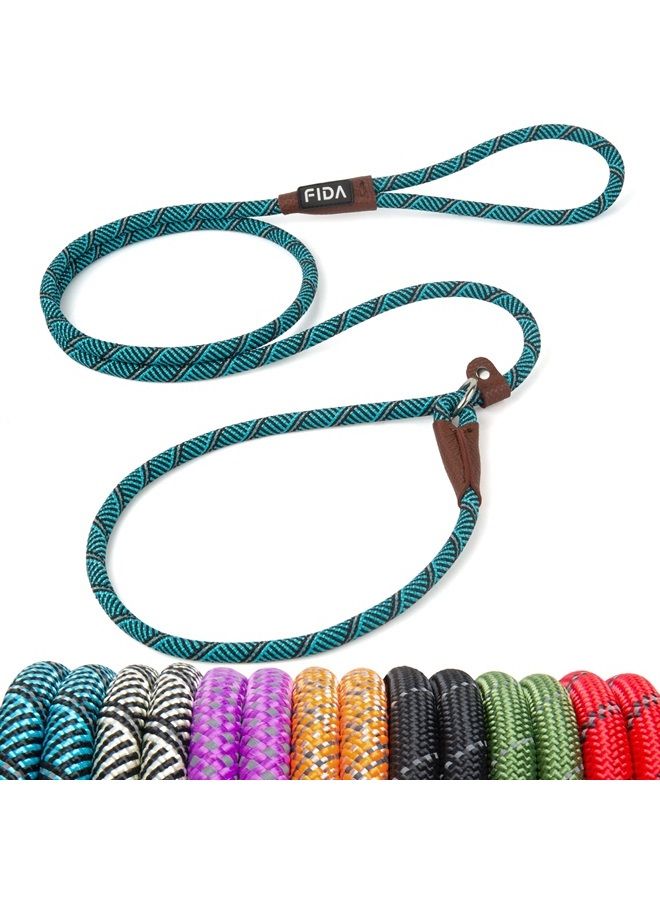 Durable Slip Lead Dog Leash, 6 FT x 3/8" Heavy Duty Dog Loop Leash, Comfortable Strong Rope Slip Leash for Small Dogs and Puppies, No Pull Pet Training Leash with Highly Reflective(3/8", Blue)