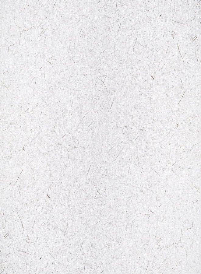 Gila Privacy Control Rice Paper Residential Window Film DIY Static Cling Easy Install 3ft x 6.5ft (36in x 78in) (19.5 sq ft) - Image 2