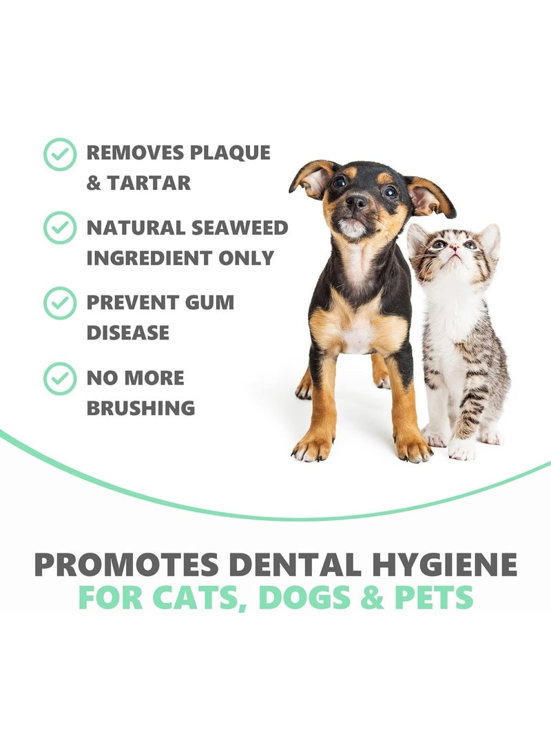 Pets Purest Plaque Off Powder - 185g Pro Tartar Remover for Dogs, Cats & Pets. 100% Natural Bad Breath, Teeth & Gum Oral Health Hygiene Dental Care Formula - Image 3