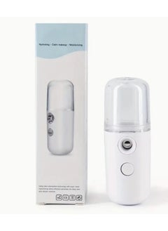 EasyLife USB Rechargeable 30ml Mini Portable Mist Humidifier Beauty Instrument Handy Facial Steamer  - Image 1