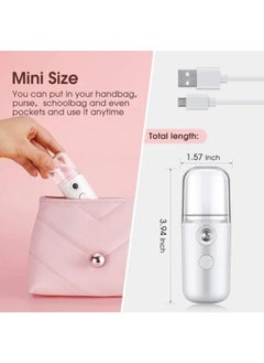 EasyLife USB Rechargeable 30ml Mini Portable Mist Humidifier Beauty Instrument Handy Facial Steamer  - Image 2