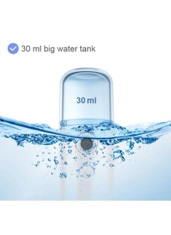 EasyLife USB Rechargeable 30ml Mini Portable Mist Humidifier Beauty Instrument Handy Facial Steamer  - Image 5