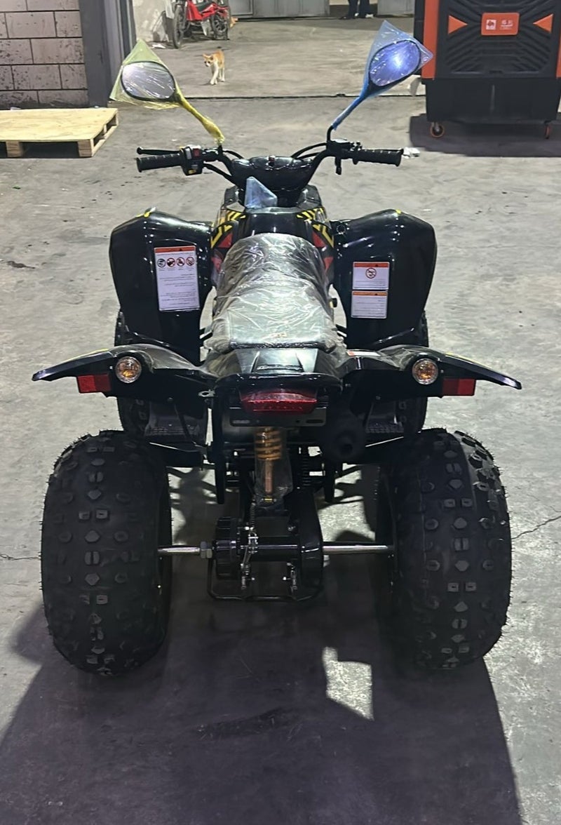 Power Sport 4X4 Motorcycle Ram Euro 110CC - Image 3