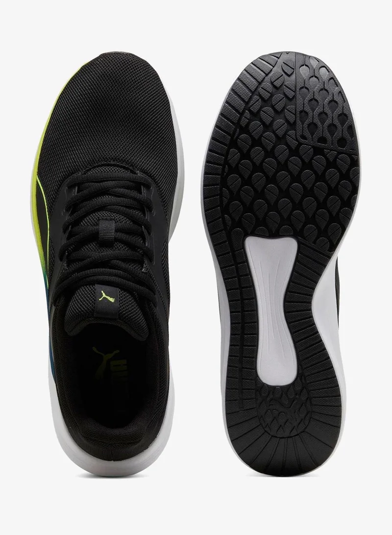 Puma  Transport  | Best Price UAE