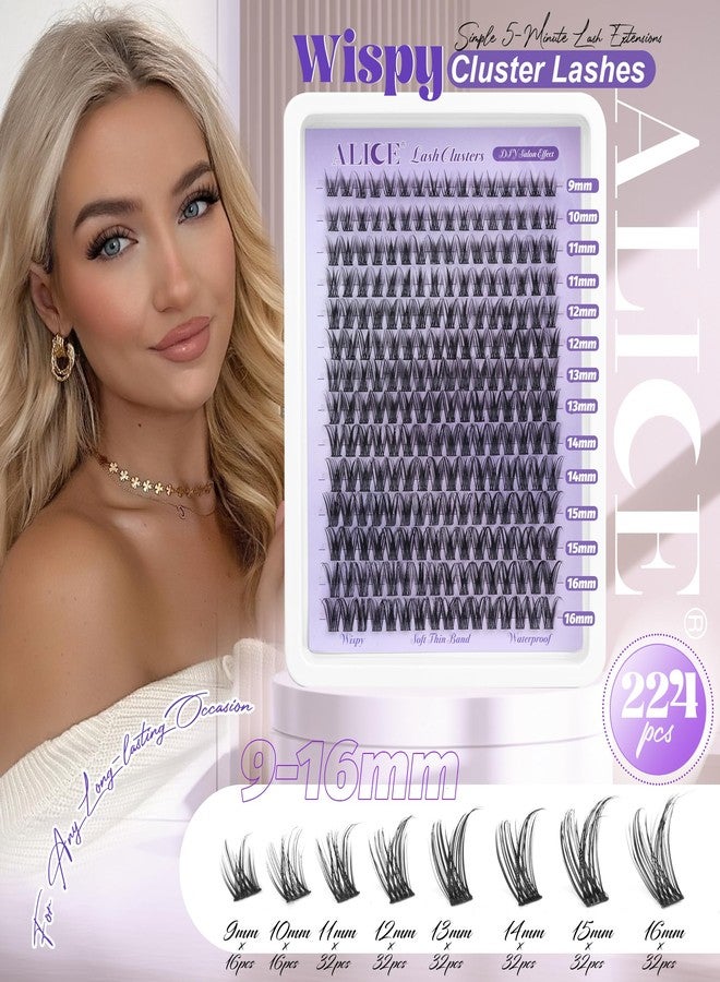 Alice Lash Clusters Natural Wispy Cluster Eyelash Extensions DIY Individual Lashes Lash Extension Waterproof Cluster Lashes 224pcs 9-16mm Soft Thin Band by ALICE - Image 2