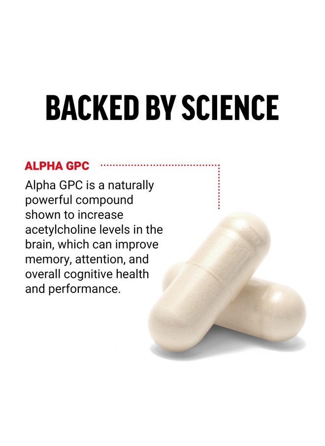 Force Factor FORCE FACTOR Alpha GPC Brain Supplement for Memory and Focus, Mood Support Supplement with Alpha GPC 300mg, Premium Quality, Vegan, Non-GMO, 60 Capsules  - Image 2