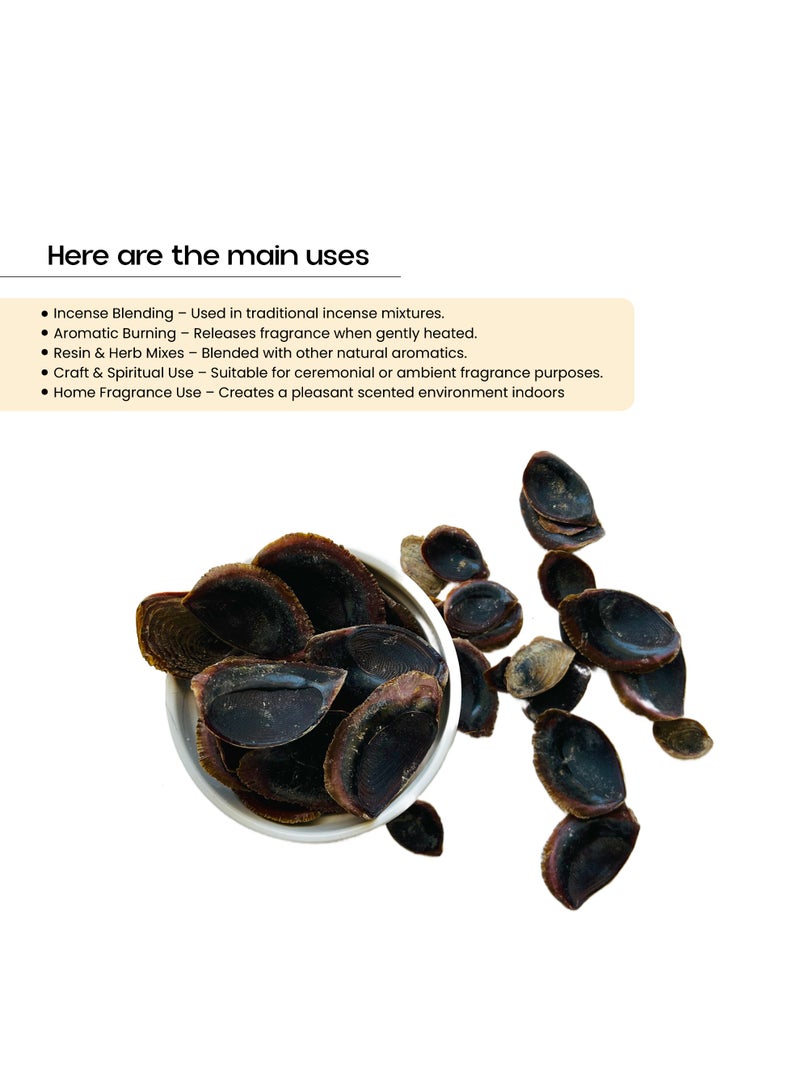 OGOC Onycha Operculum Thin Natural Aromatic Incense Resin for Premium Home Fragrance - Image 3