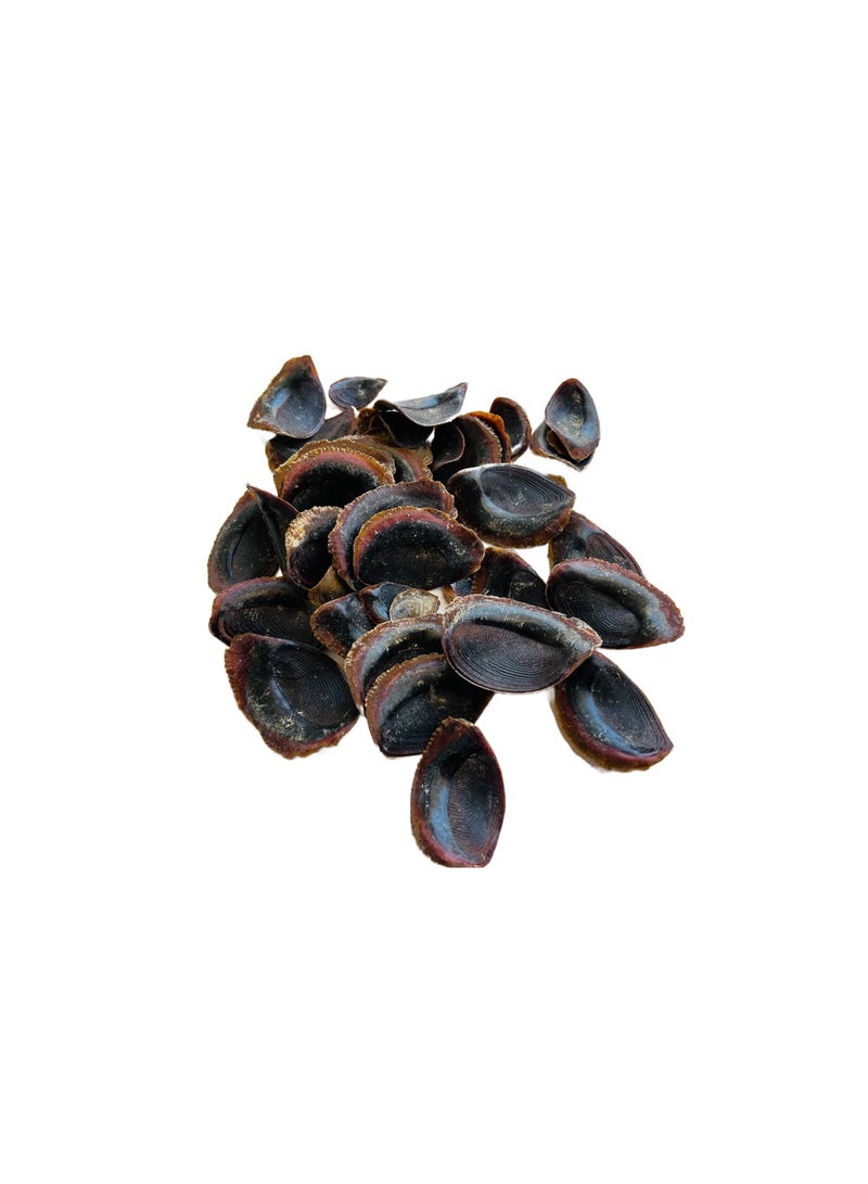 OGOC Onycha Operculum Thin Natural Aromatic Incense Resin for Premium Home Fragrance - Image 4