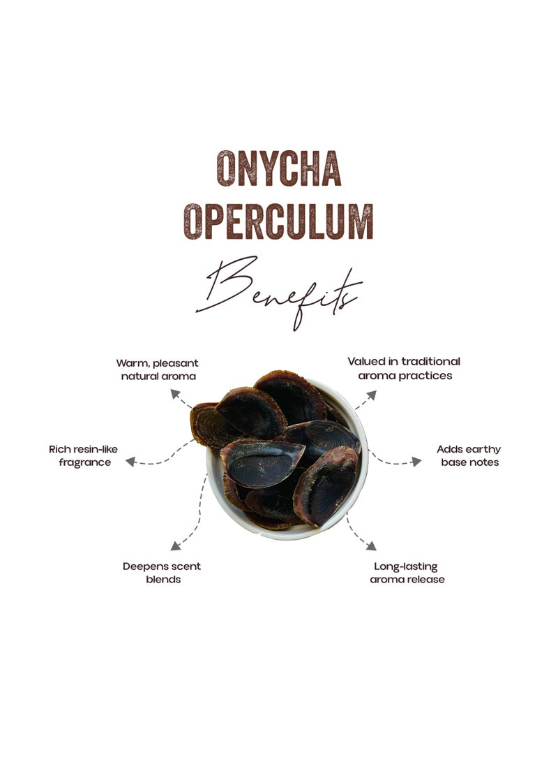 OGOC Onycha Operculum Thin Natural Aromatic Incense Resin for Premium Home Fragrance - Image 2
