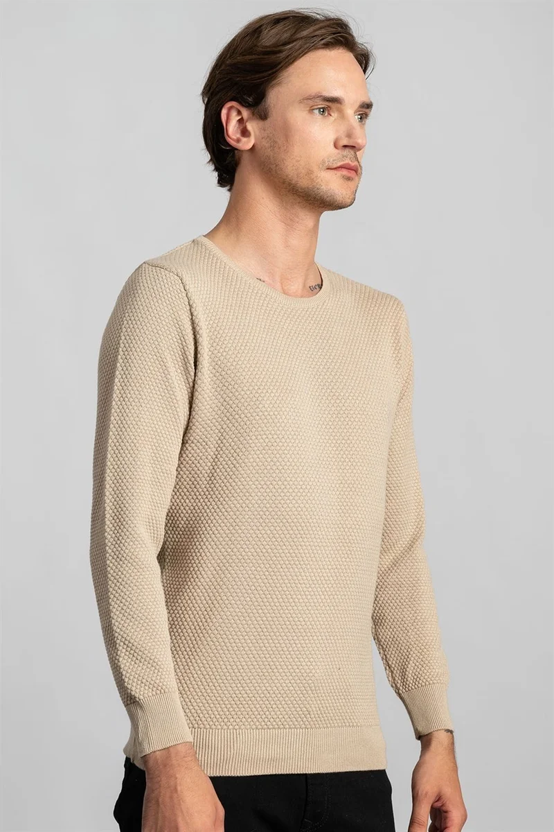 تودورس Slim Fit Narrow Cut Crew Neck Honeycomb Patterned Men's Sweater