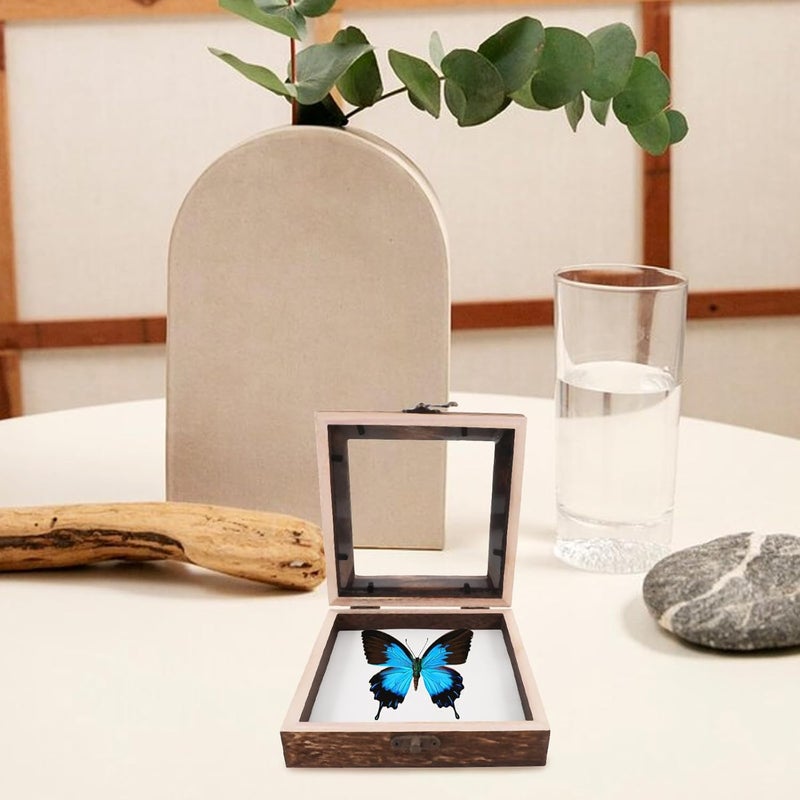 KALLORY Small Top Loading Shadow Box 15x15x4.5cm Carbonized Paulownia Wood with White Eva Pinning Board Butterfly Display Case Insect Specimen Keepsake for Home Décor and Collection - Image 4