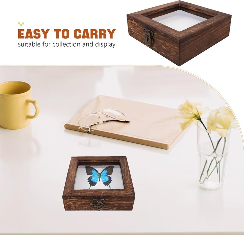 KALLORY Small Top Loading Shadow Box 15x15x4.5cm Carbonized Paulownia Wood with White Eva Pinning Board Butterfly Display Case Insect Specimen Keepsake for Home Décor and Collection - Image 3