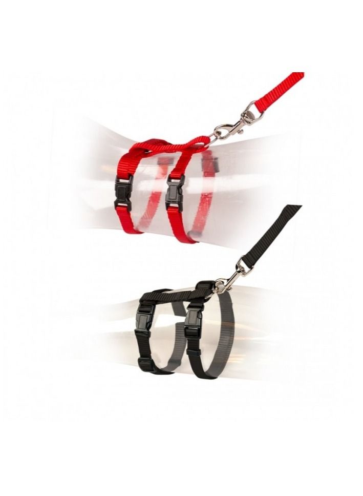 Duvo + طقم مشي القطط بألوان مختلطة 20 - 35 سم - Image 2