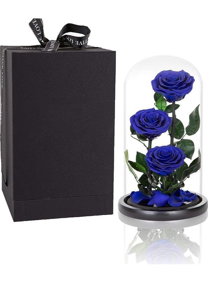 Generic Large-size Forever Blue Rose, Real Eternal Rose in Glass Dome Preserved Flower with Luxury Gift Box - Gift for Valentine's Day Mother's Day Wedding Anniversary Birthday (Three Roses)  - Image 3