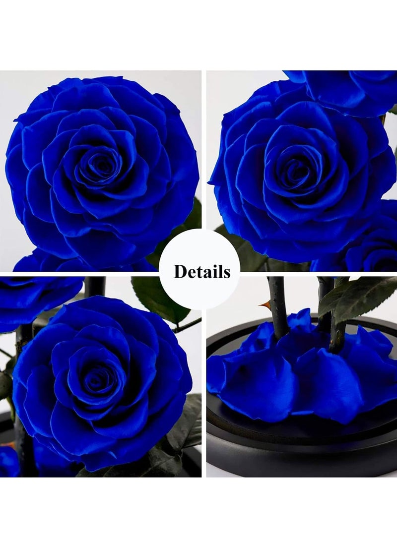 Generic Large-size Forever Blue Rose, Real Eternal Rose in Glass Dome Preserved Flower with Luxury Gift Box - Gift for Valentine's Day Mother's Day Wedding Anniversary Birthday (Three Roses)  - Image 5