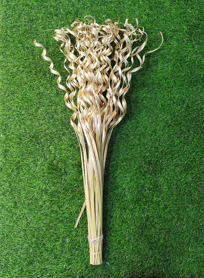 Palesaa Golden Springs Handmade Dry Flower Sticks (Multicolor) - Image 2