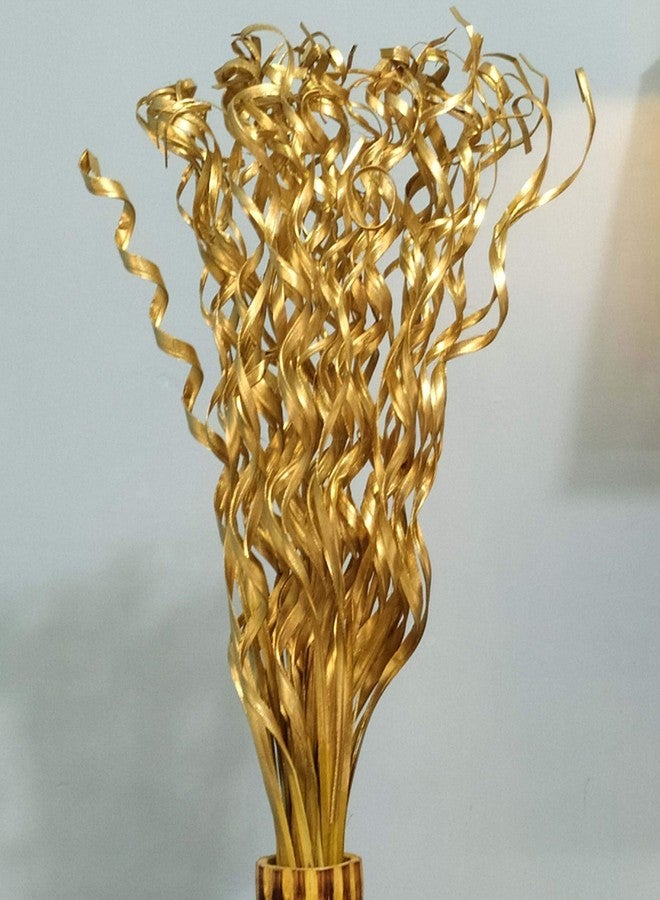 Palesaa Golden Springs Handmade Dry Flower Sticks (Multicolor) - Image 3