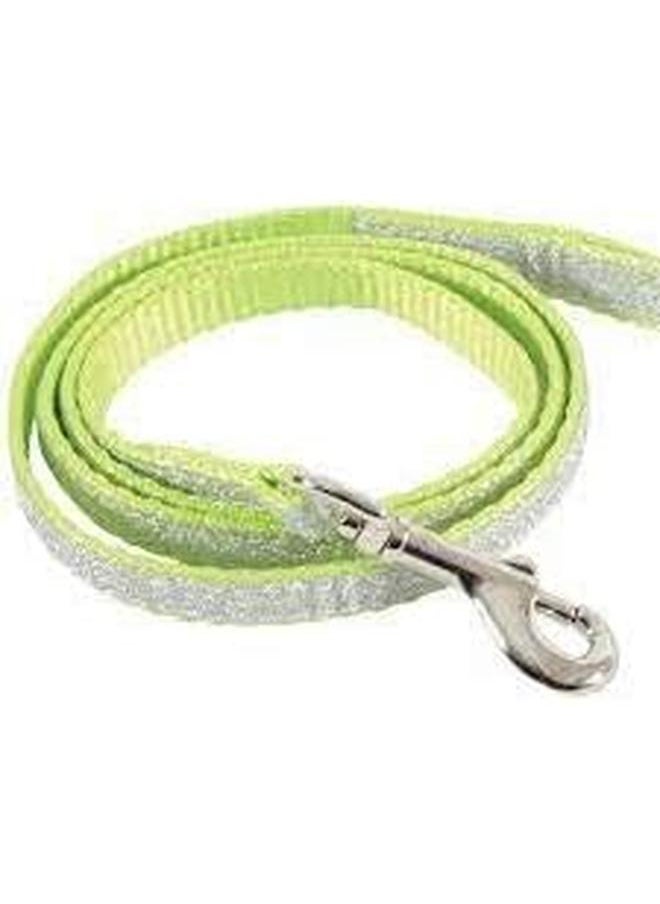 Shiny Nylon Regular Leash Green - pzsku/Z273A32957D9C405CF5D9Z/45/_/1722832919/08a9de4a-1c48-46cc-a947-5bc7cad3dc6b