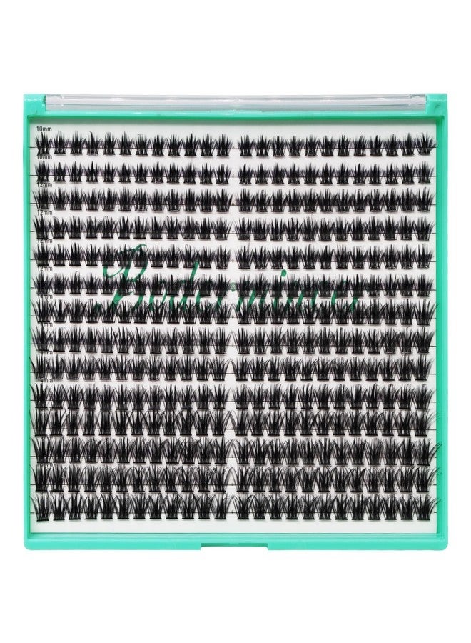 Bodermincer XXXL Tray 336PCS D Curl Cluster Lashes 10-12-14-16mm Mixed Length DIY Eyelashes Extension at Home (M02-D Curl 10-12-14-16mm Mixed) - Image 1