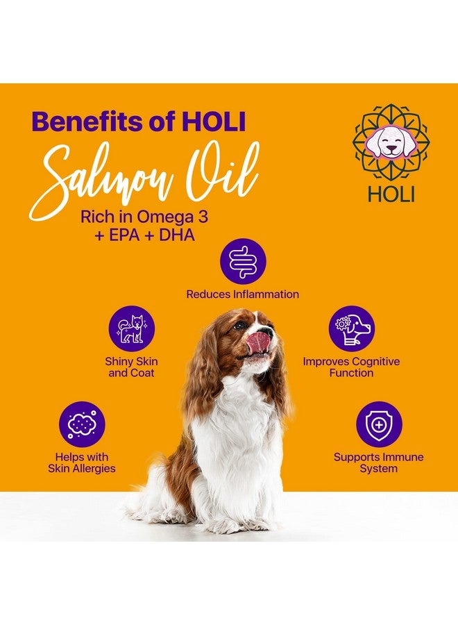 هولي زيت سمك السلمون هولي لبشرة وفراء الكلاب | زيت سمك أيسلندي للقطط والكلاب | أوميغا 3 إيكوسابنتينويك ودوكوساهيكسانويك يدعم حركة المفاصل، ويعزز المناعة، ويحافظ على صحة القلب - Image 4