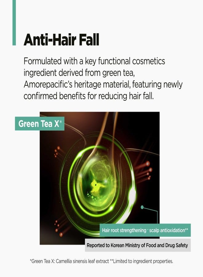 أموس بروفيشنال شامبو أموس بروفيشنال النشط بالشاي الأخضر 60 مل + مجموعة العناية بالشعر وفروة الرأس 40 مل | مضاد للشيخوخة للشعر الخفيف والمتساقط | يحمي فروة الرأس ويمنح الشعر كثافة - Image 4
