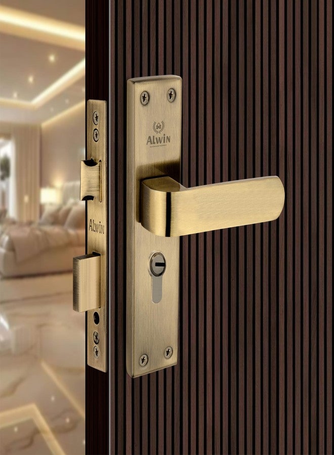 Alwin's Stainless Steel Mortise Door Lock (Antique, Pin Tumbler) - Image 3