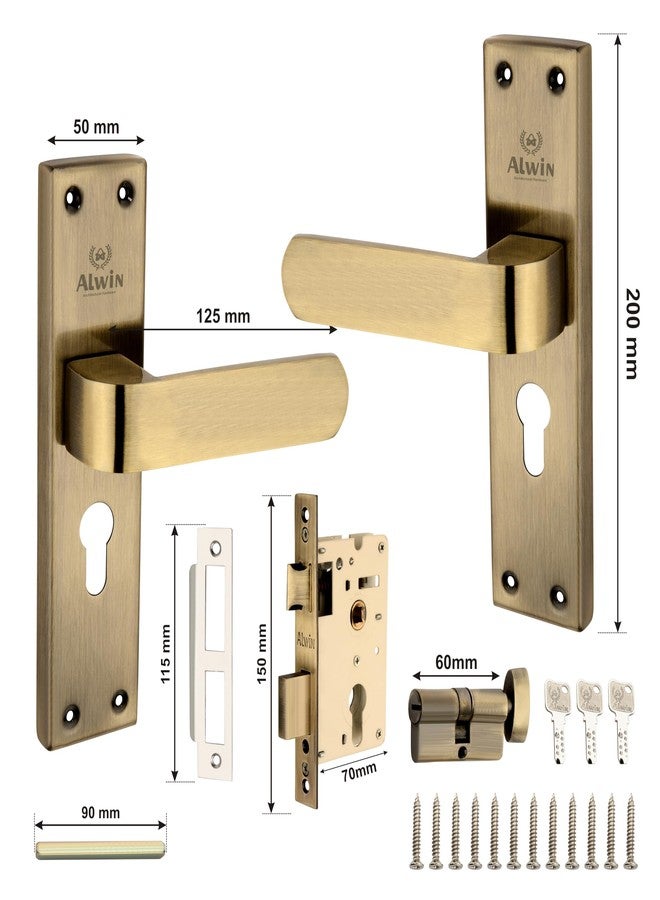 Alwin's Stainless Steel Mortise Door Lock (Antique, Pin Tumbler) - Image 2