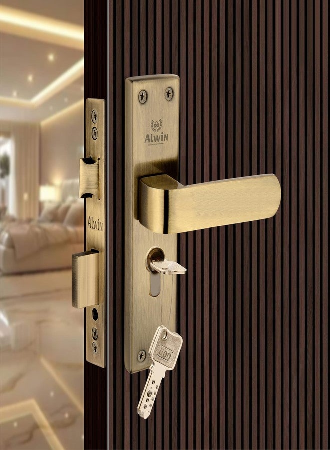 Alwin's Stainless Steel Mortise Door Lock (Antique, Pin Tumbler) - Image 1