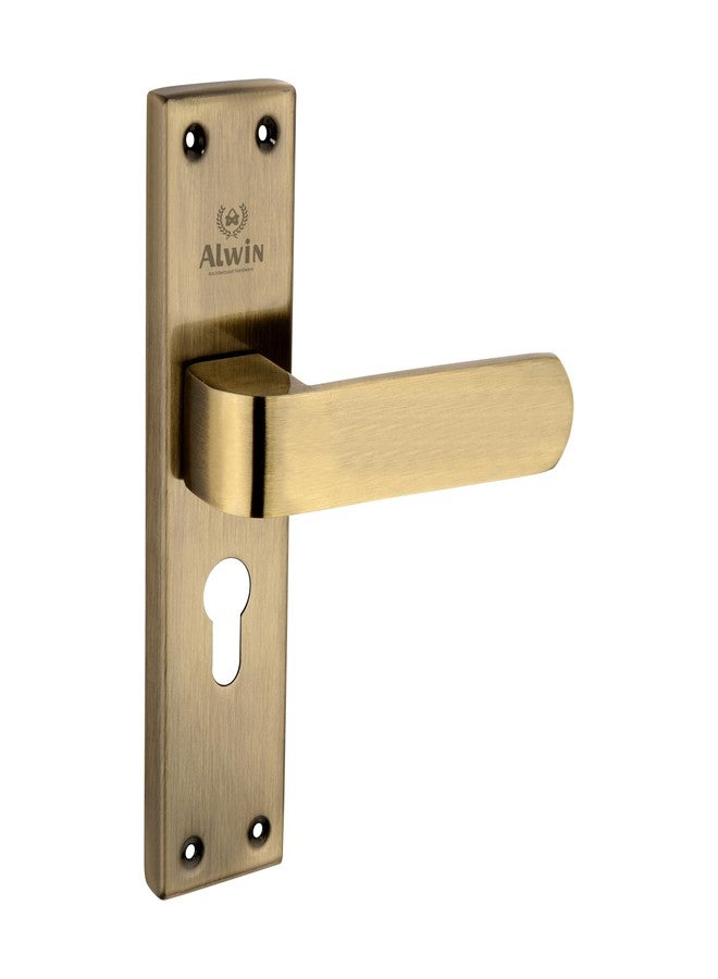 Alwin's Stainless Steel Mortise Door Lock (Antique, Pin Tumbler) - Image 5