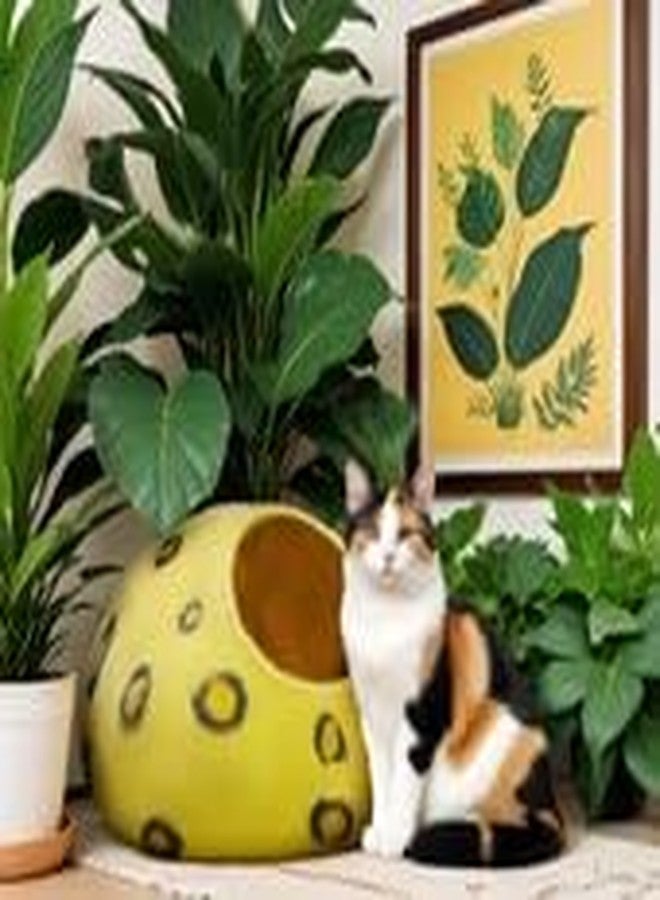 Woolygon Premium Felt Cat Cave Bed - Polka Dot Series - Wool Kitty Beds Handcrafted Kitten Caves Bed for Indoor Cats - Eco-Friendly Merino Wool, Foldable Cat Hideaway Cat Houses Pod - Image 2