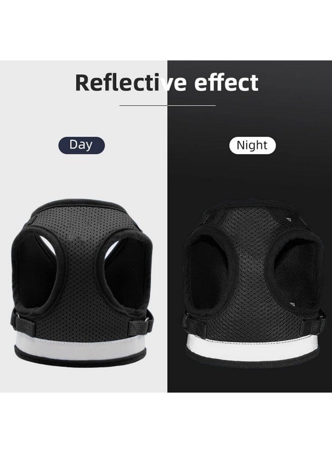 هومستيك حزام عاكس للكلاب مع مقود قابل للتعديل | نسيج شبكي من البوليستر قابل للتنفس | مقاس كبير | Ht-844 | قبضة مريحة لا تسحب | مشابك سريعة الفك | حزام سهل الارتداء والخلع | أسود - Image 2