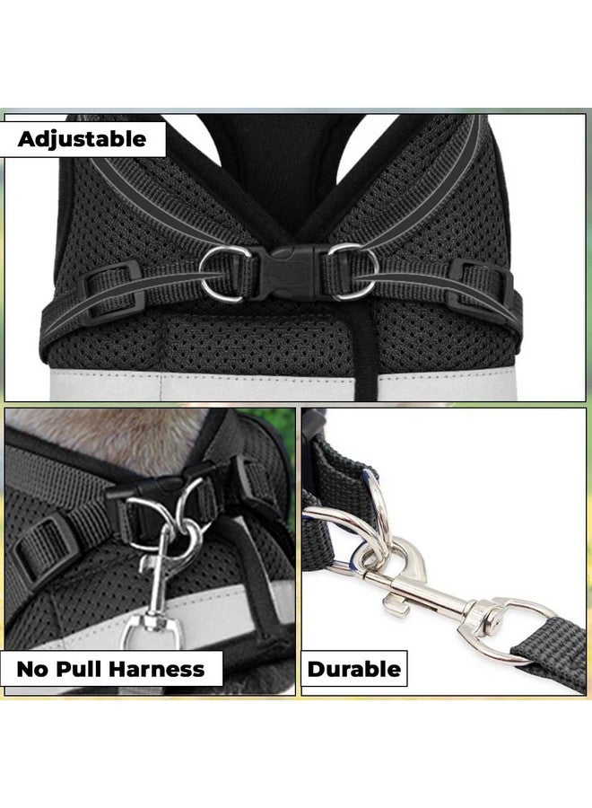 هومستيك حزام عاكس للكلاب مع مقود قابل للتعديل | نسيج شبكي من البوليستر قابل للتنفس | مقاس كبير | Ht-844 | قبضة مريحة لا تسحب | مشابك سريعة الفك | حزام سهل الارتداء والخلع | أسود - Image 5