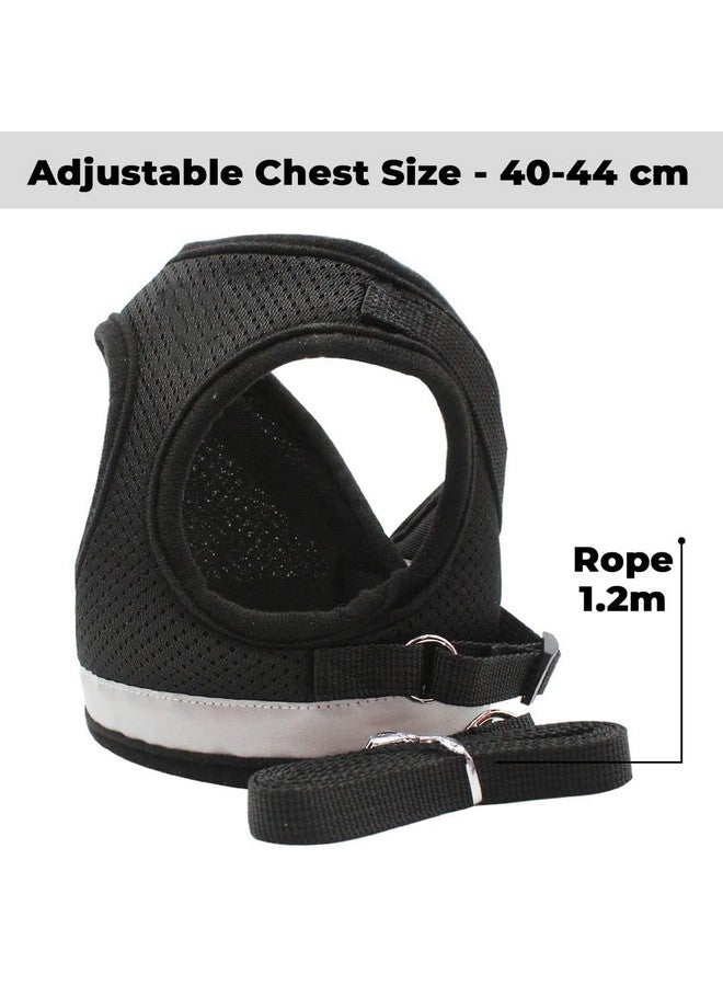 هومستيك حزام عاكس للكلاب مع مقود قابل للتعديل | نسيج شبكي من البوليستر قابل للتنفس | مقاس كبير | Ht-844 | قبضة مريحة لا تسحب | مشابك سريعة الفك | حزام سهل الارتداء والخلع | أسود - Image 3