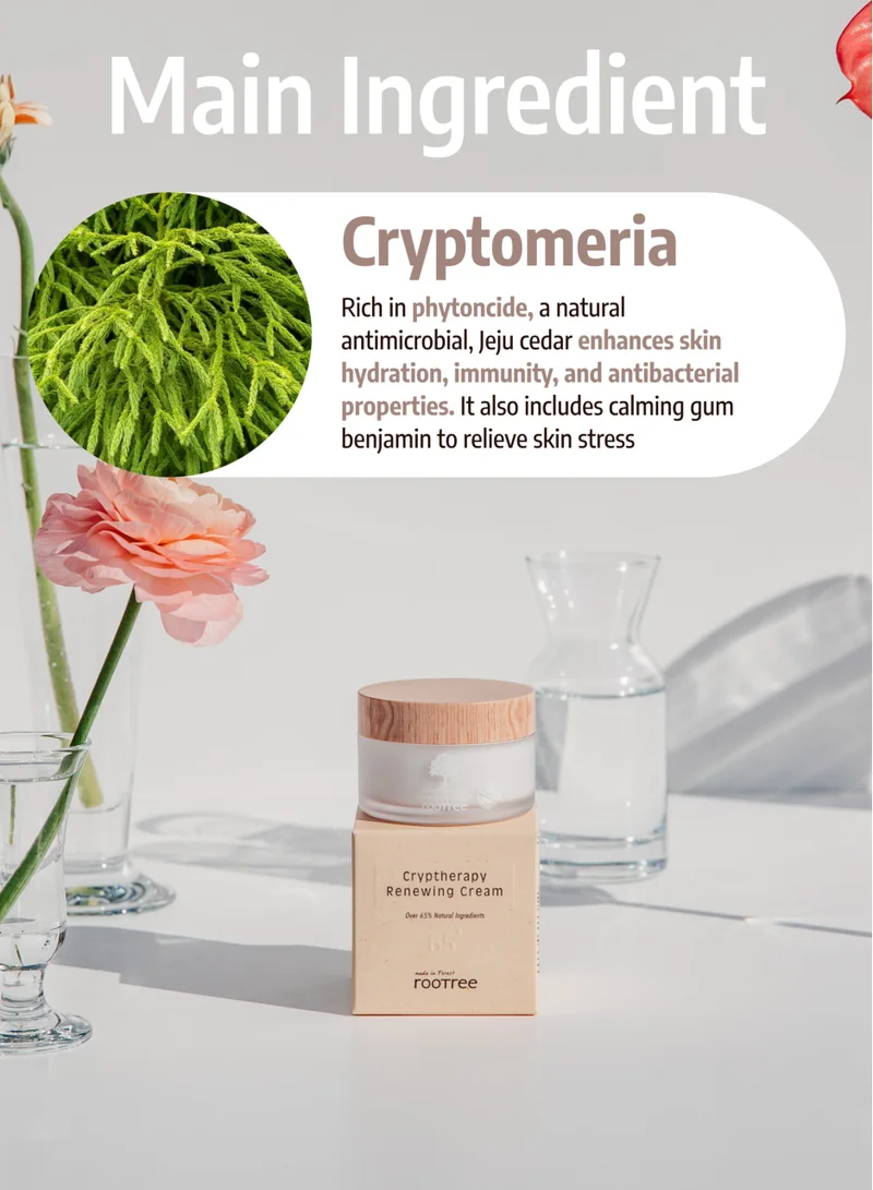 rootree Cryptherapy Renewing Cream - Korean Skincare, Moistruising and Hydrating Cream,  Facial Care for Skin Elasticity, Vegan & Cruelty Free