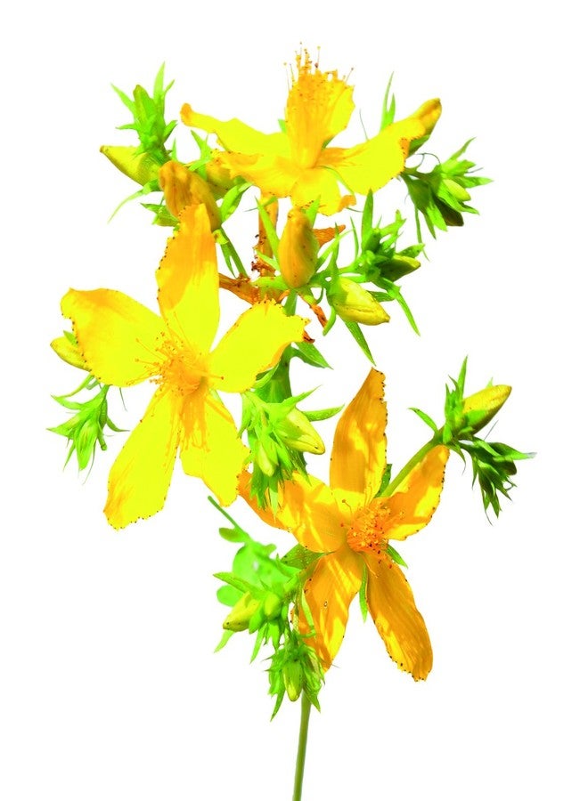 HELIABRINE جل مزيل مكياج العين هليابراين - Image 5