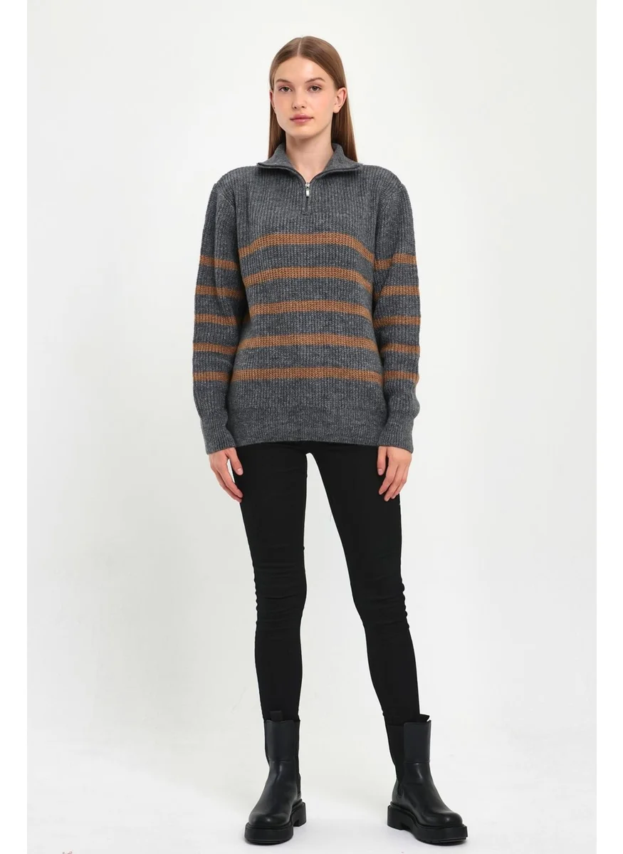 Alexandergardi Alexandergardı Zippered Turtleneck Knitwear Sweater (B23-5802)