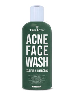 TreeActiv TreeActiv Acne Charcoal Face Wash 3.4 oz, Exfoliating Daily Honey & Sulfur Face Wash - Sulfur Acne Treatment Cleanser Face Soap, Mens Face Wash, Deep Cleansing Moisturizing Face Wash for Women and Men  - Image 1