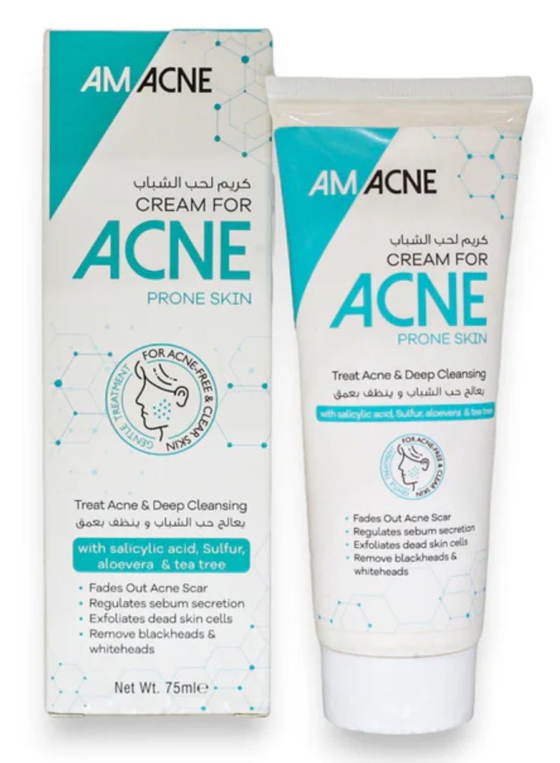 Acne Amacne Cream For Acne Prone Skin 75 ml  - Image 1