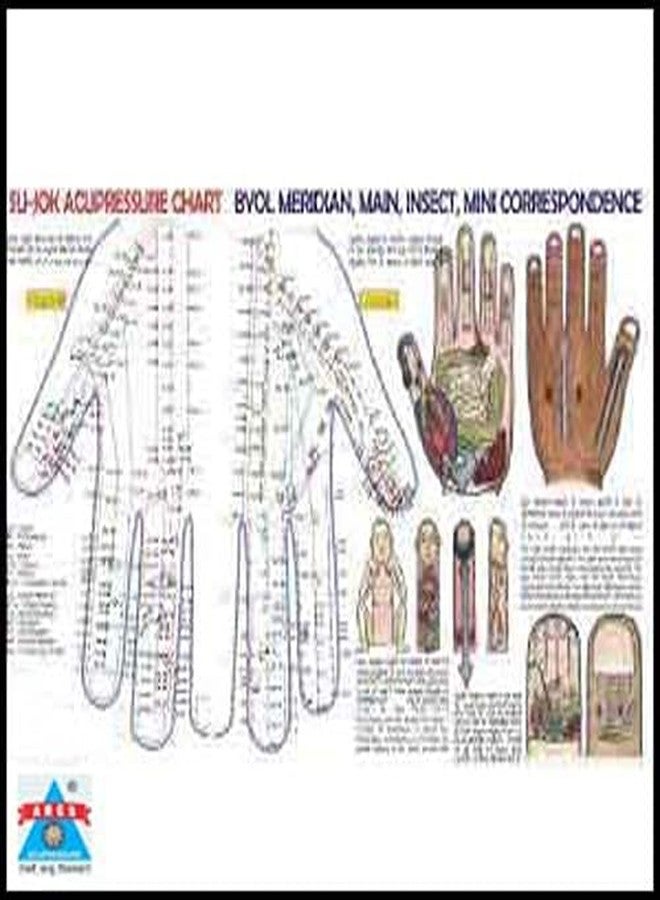ANCS Acupressure sujok five star magnet sujok cluster magnet sujok therapy treatment use - Image 5