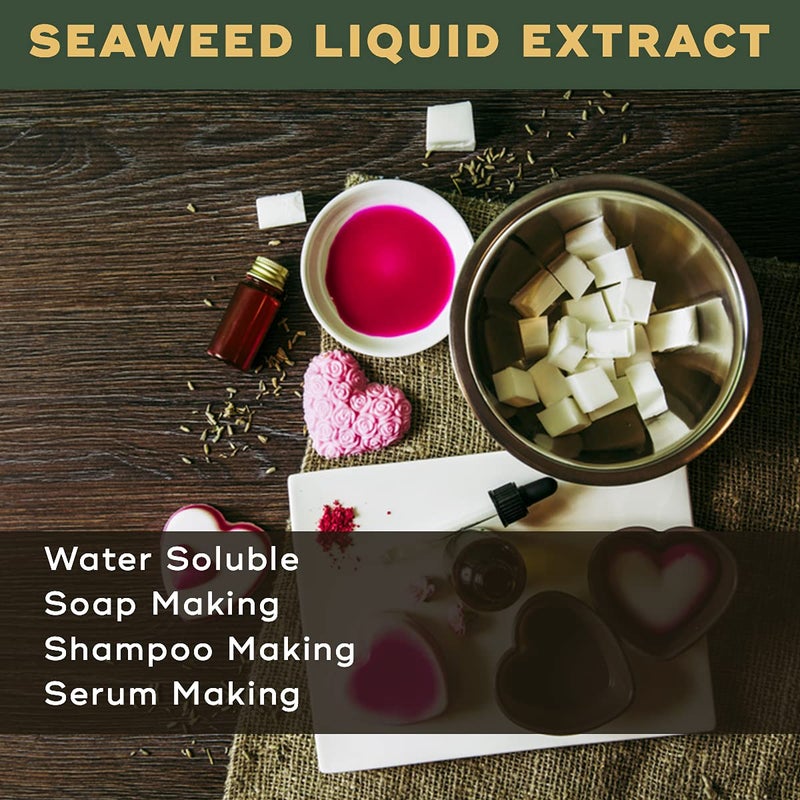 BRM HERBALS BRM Herbals Seaweed Liquid Extract Water Soluble 25 Grams For Soap Making Shampoo Cosmetics Lotions Creams Face Wash Serum Making Diy Personal Care For Face Hair Skin Body  - Image 3