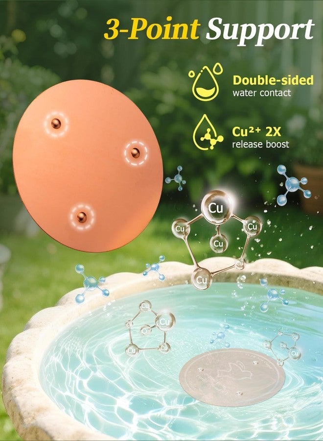 Mellbree 4-Pack Bird Bath Copper Disk, 0.6mm Reinforced 99.99% Pure Copper Cleaning Disk with Triple-Point Support for Physical Safe Clean Water All-Season - Image 5