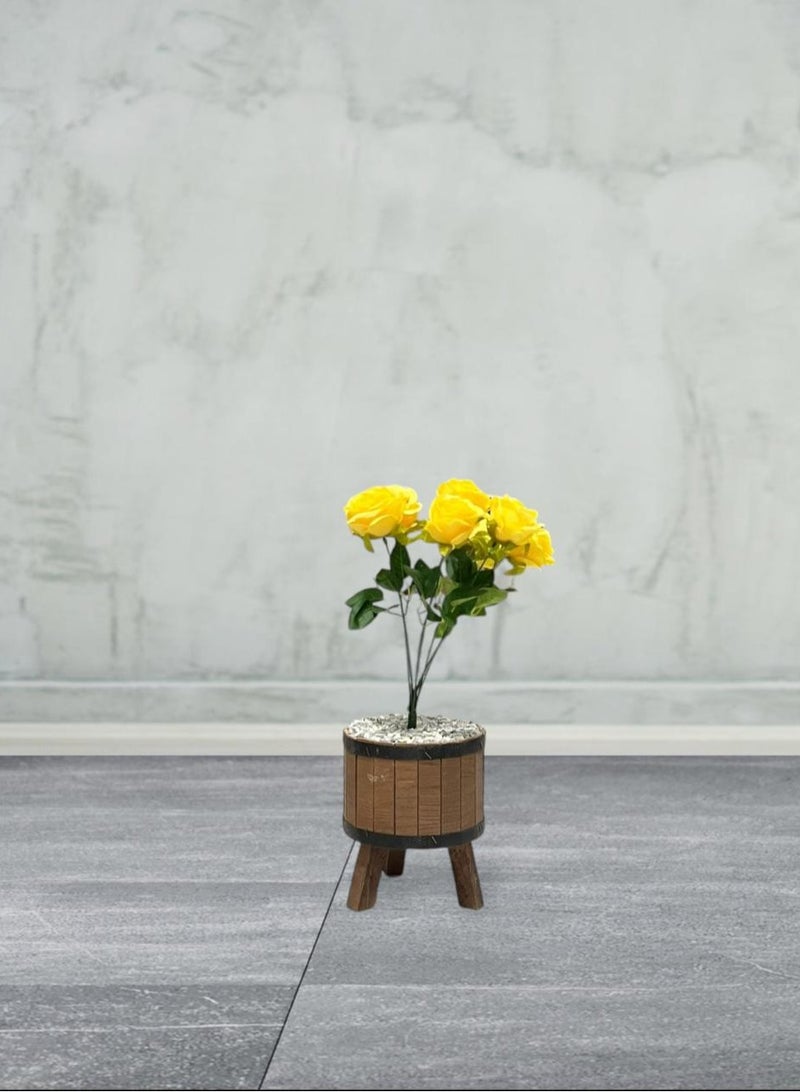 AL KHALDIYA Rose seedling 20 cm with wooden pot  - Image 2