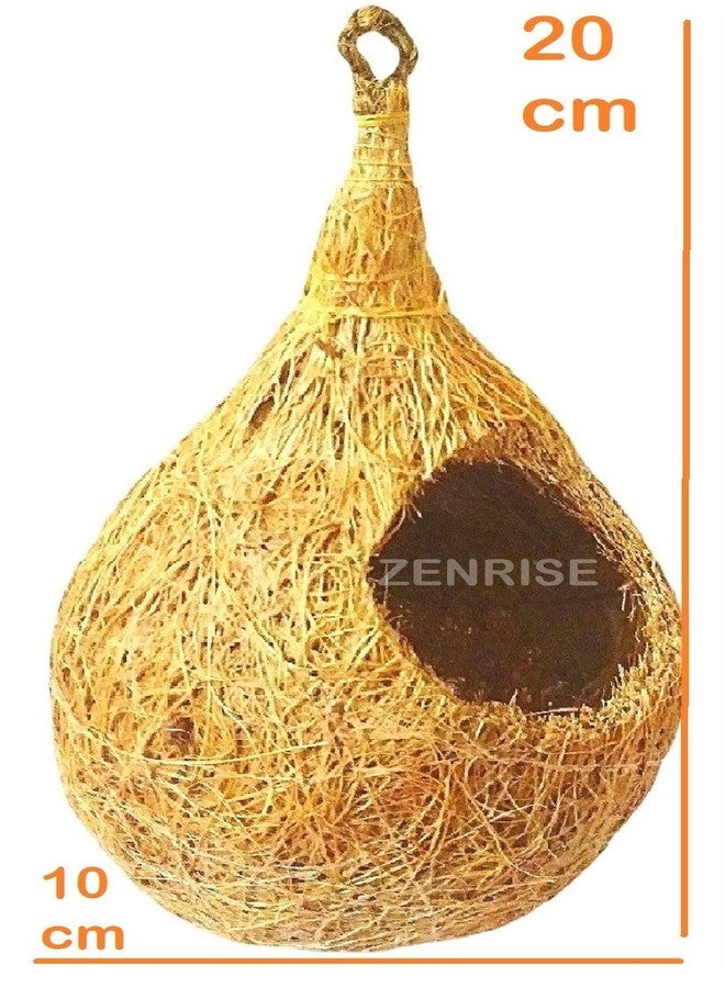 ZENRISE عش طيور معلق من ألياف جوز الهند من زينرايز BN03 - عبوة من 10 قطع - Image 2