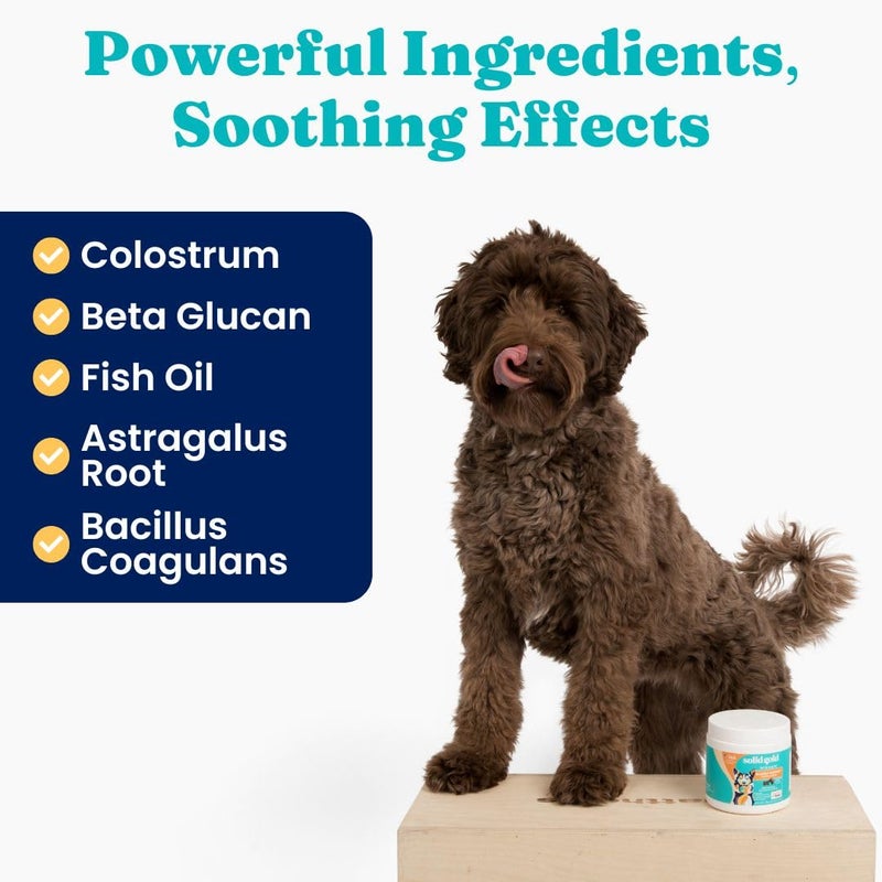 Solid Gold Dog Allergy Relief Chews - Dog Itching Skin Relief & Seasonal Allergies Support - Alaskan Salmon Oil for Dogs Skin, Coat & Immune Support - Bacon Flavor Soft Allergy Chews for Dogs -120ct - Image 4