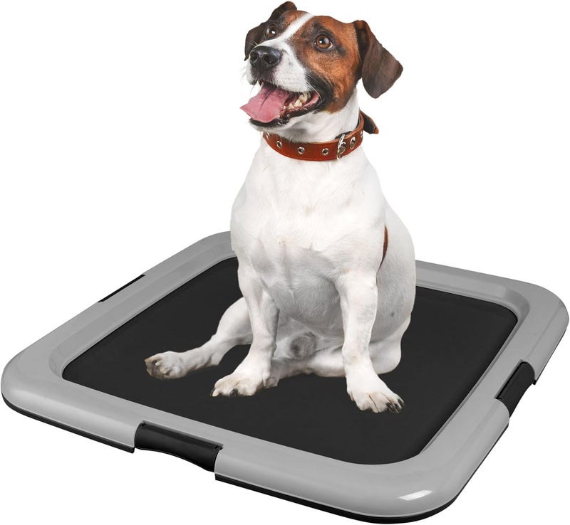IrisUSA Pee Pad Holder - for Regular Sized Dog and Puppy Pee Pads, Secured Latches, Non-Skid Feet, Polished Finish for Easy Cleaning, Leak Protection, Fits 22"x22" Pad or Larger, 2 Pack, Black/Gray - Image 4