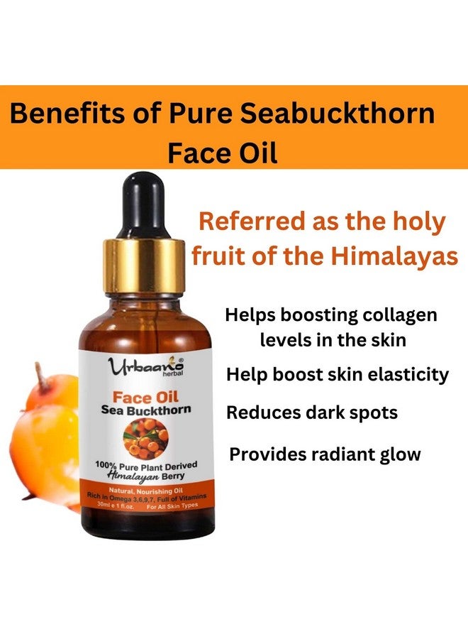 Urbaano Herbal Radiant Glow Sea Buckthorn Face Oil, Natural Vitamin C & Omega Rich Brightening | Himalayan Berry Facial Oil - 30ml - Image 3