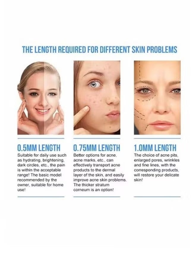 Bio 6 in 1 Microneedle Roller Professional Derma Stamp Microneedle Skin Care Hair Loss Microneedle Treatment Tool DRS 140A - Image 2