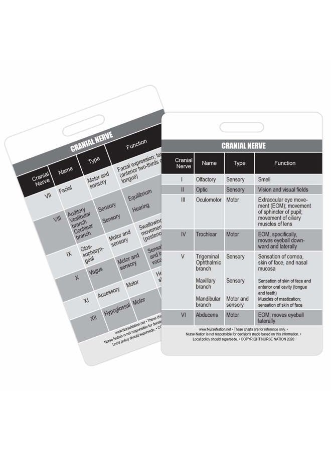 Nurse Nation Cranial Nerve Chart Reference Vertical Badge Card - Excellent Resource for Nurses, Nursing Clinicals, and RN Students - Great Nursing School Supplies and Accessories - Image 1