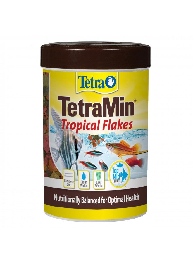 Tetra TetraMin Tropical Flakes 3.53 Ounces, Nutritionally Balanced Fish Food, Model Number: 16204 - Image 1